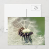 Pusteblume 2013 3 briefkaart (Voorkant / Achterkant)
