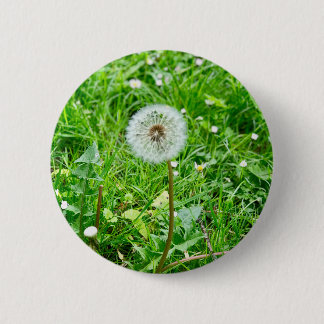 Pusteblume auf einer Wiese 1 Ronde Button 5,7 Cm
