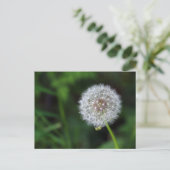 Pusteblume Briefkaart (Staand voorkant)