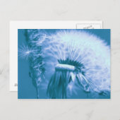 Pusteblume Briefkaart (Voorkant / Achterkant)