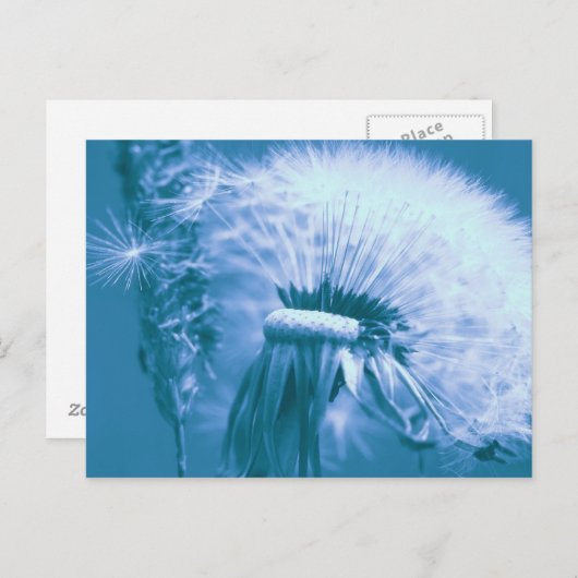 Pusteblume Briefkaart (Voorkant / Achterkant)