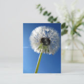 Pusteblume Briefkaart (Staand voorkant)