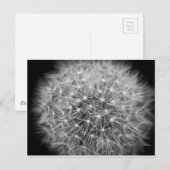 Pusteblume Briefkaart (Voorkant / Achterkant)