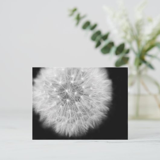Pusteblume Briefkaart (Staand voorkant)