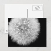 Pusteblume Briefkaart (Voorkant / Achterkant)