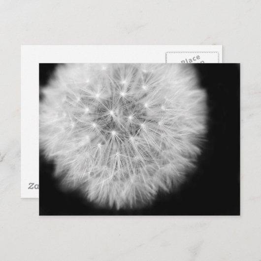 Pusteblume Briefkaart (Voorkant / Achterkant)