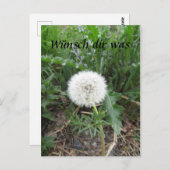 Pusteblume Briefkaart (Voorkant / Achterkant)