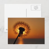 Pusteblume/Dandelion Briefkaart (Voorkant / Achterkant)