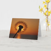 Pusteblume / Dandelion Kaart (Gele Bloem)