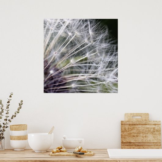Pusteblume Poster (Keuken)
