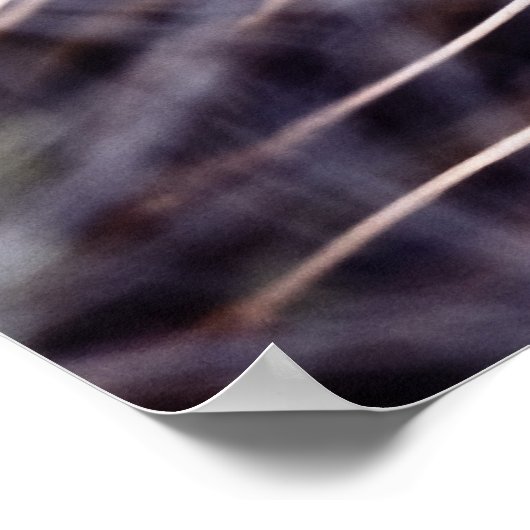 Pusteblume Poster (Hoek)