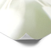 Pusteblume Poster (Hoek)