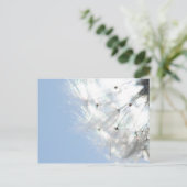 Pusteblumen Löwenzahn Himmelblau Fotografie Briefkaart (Staand voorkant)