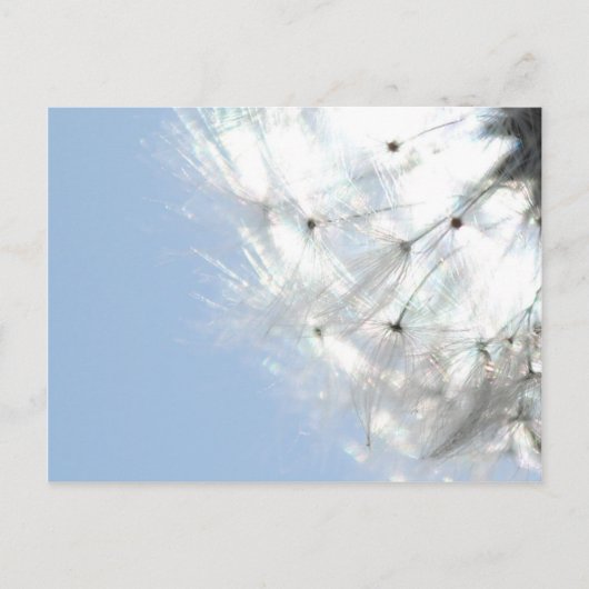 Pusteblumen Löwenzahn Himmelblau Fotografie Briefkaart (Voorkant)