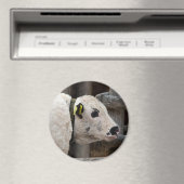 Pustertal Pied Calf Magneet (Insitu (Vaatwasser))