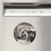 Pustertal Pied Koe Magneet (Insitu (Vaatwasser))