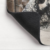 Pustertal Pied Koe Muismat (Hoek)