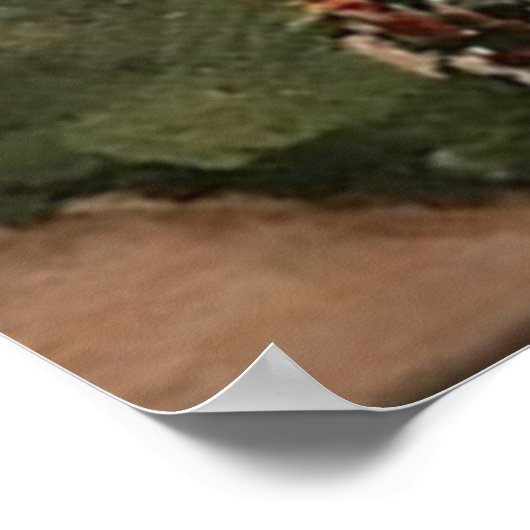 "Put-in-Bay Winery" door Willowcatdesigns Poster (Hoek)