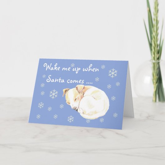 Pute puppy Snowflakes Blue-kerstfeestkaart Feestdagen Kaart (Voorkant)