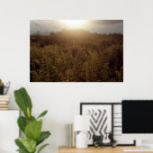 Putney Mountain Sunset Poster (Thuiskantoor)