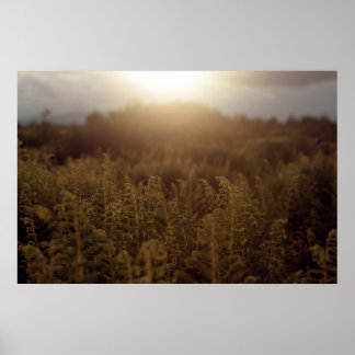 Putney Mountain Sunset Poster