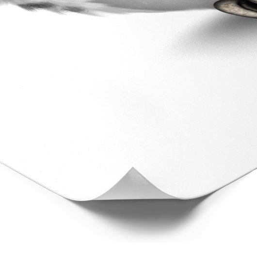 Putroze dag van de dode suikerschedel Wit Poster (Hoek)