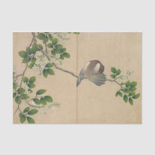 Puttende vogel van Zhang Ruoai Tissuepapier (Voorkant)