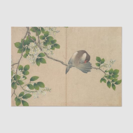 Puttende vogel van Zhang Ruoai Tissuepapier (Voorkant)