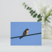 Putter briefkaart (Staand voorkant)