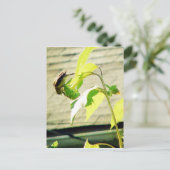 Putter en Zonnebloem Briefkaart (Staand voorkant)