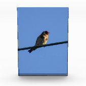 Putter fotoblokken (Voorkant)
