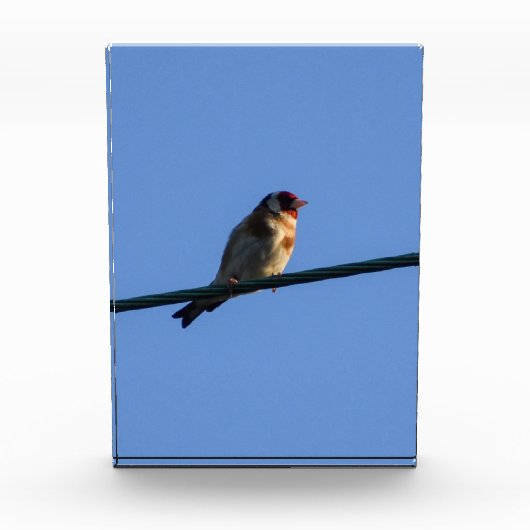 Putter fotoblokken (Voorkant)