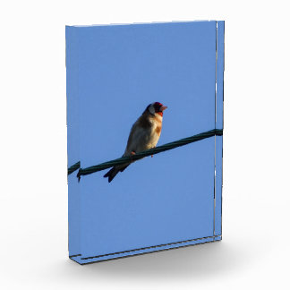 Putter fotoblokken
