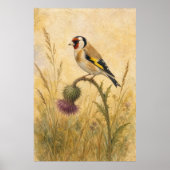 Putter op een Distel Aquarel Poster (Voorkant)