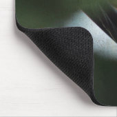 Putterfoer voert jongen muismat (Hoek)