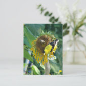 Puttertje en een zonnebloem briefkaart (Staand voorkant)