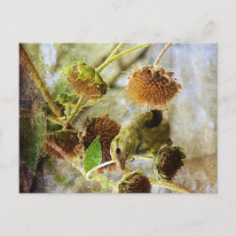 Puttertje en zonnebloemen briefkaart