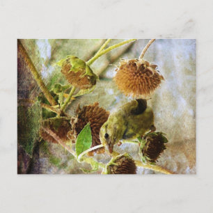 Puttertje en zonnebloemen briefkaart