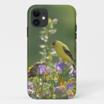 Puttertje op een Blauwe Klokjes Bloem     