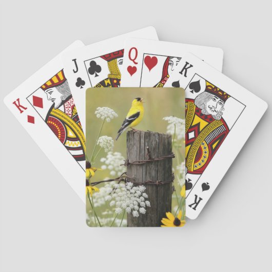 Puttertje zingend op een hekpilaar pokerkaarten (Achterkant)