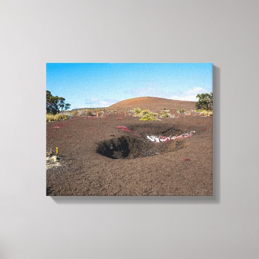 pu'u pua'i cinder cone langs byron ledge trail canvas afdruk (Voorkant)