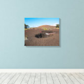 pu'u pua'i cinder cone langs byron ledge trail canvas afdruk (Insitu (Houten vloer))