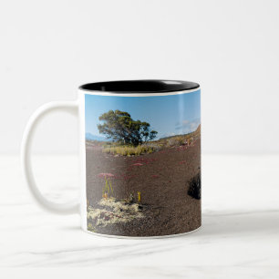 pu'u pua'i cinder cone langs byron ledge trail tweekleurige koffiemok