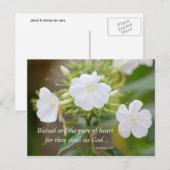 Puur hart briefkaart (Voorkant / Achterkant)
