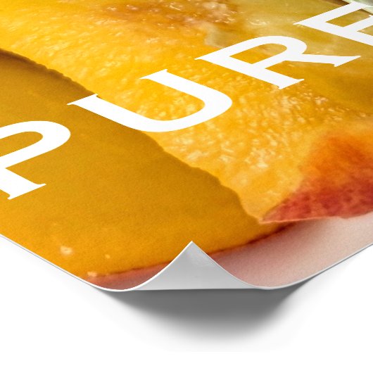 PUUR NECTAR POSTER (Hoek)