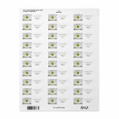 puur witte madeliefjes bloem bruiloft etiket (Full Sheet)