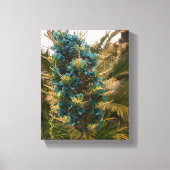 Puya Berteroniana #1 Canvas (Voorkant)