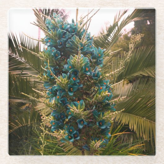 Puya Berteroniana #1 Glass Onderzetter Glazen Onderzetter (Voorkant)