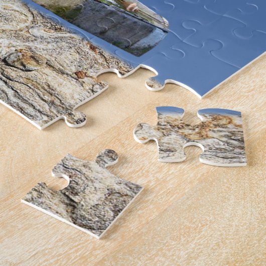 Puzles Floral Fountain Birds Legpuzzel (Zijkant)