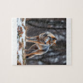 Puzzel  (Horizontaal)